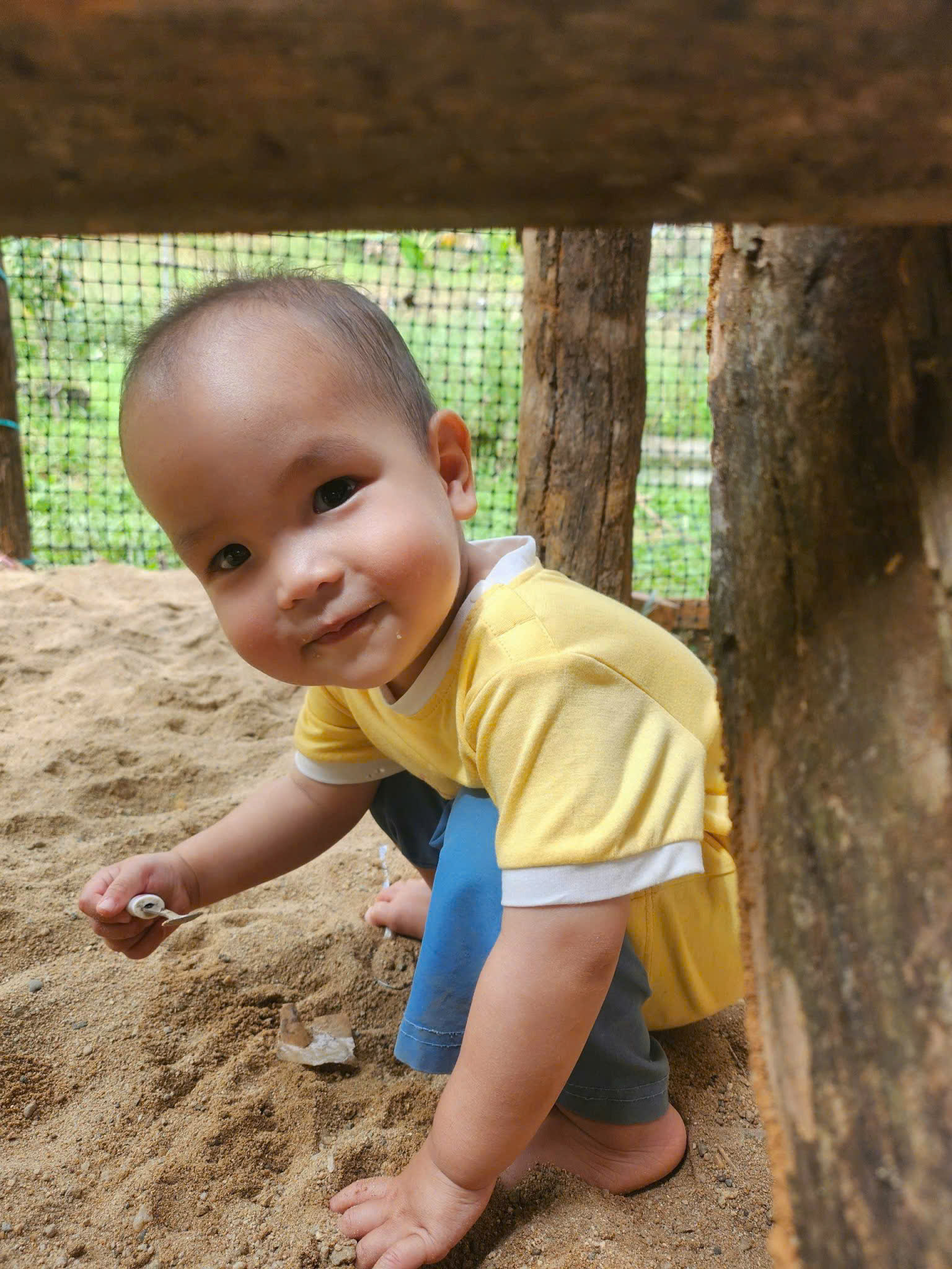 Nuôi dưỡng như cách vũ trụ dẫn lối